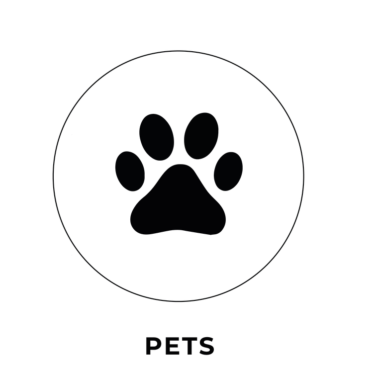 Termo para perro y gatos