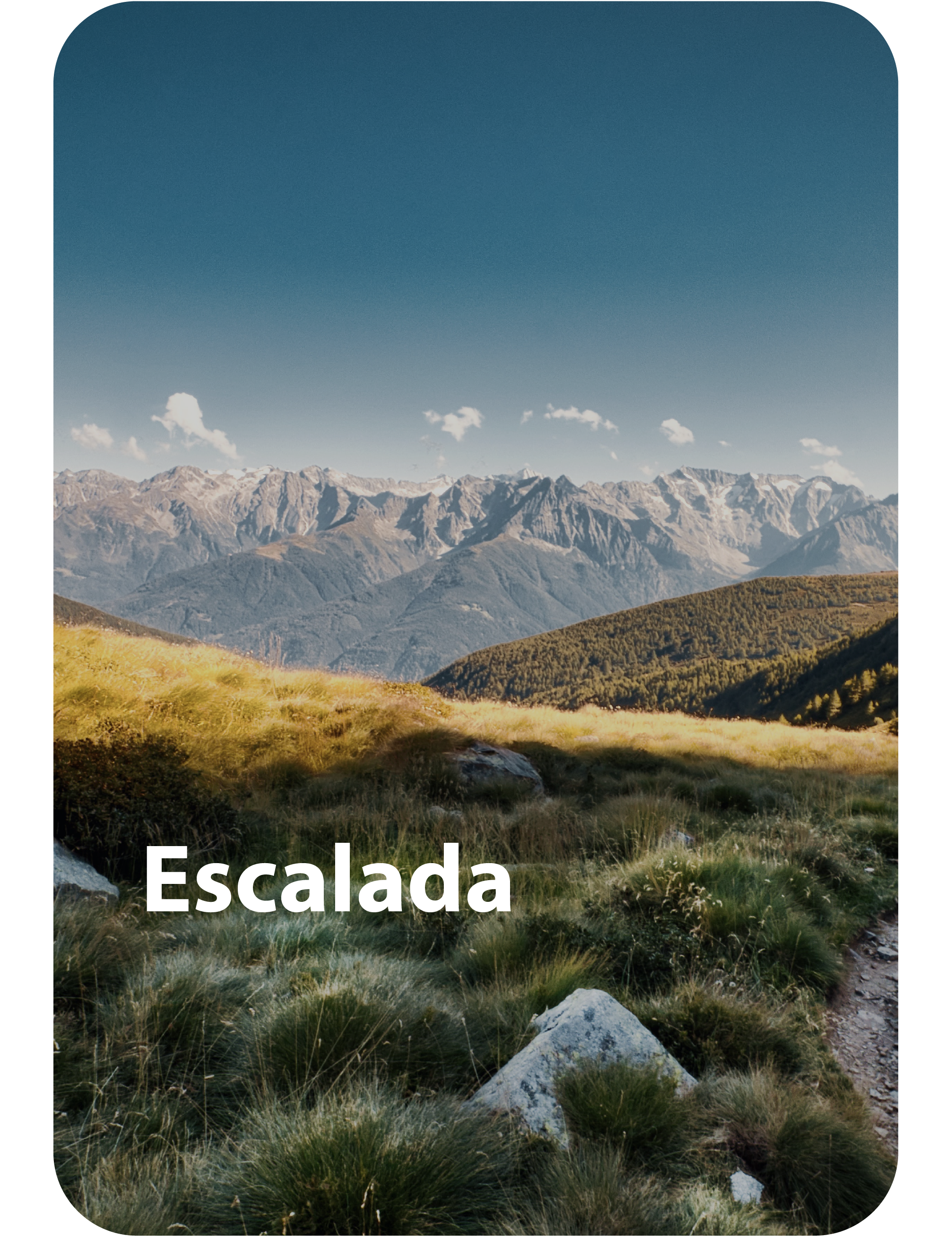productos para deportistas
